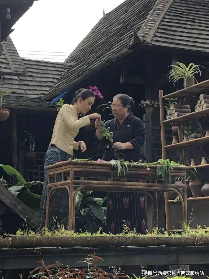 逃离仿真森林